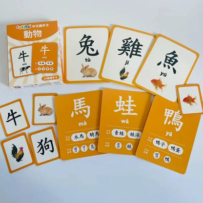 ［現貨］ Curios®️中文識字卡