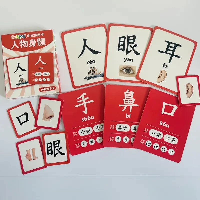 ［現貨］ Curios®️中文識字卡